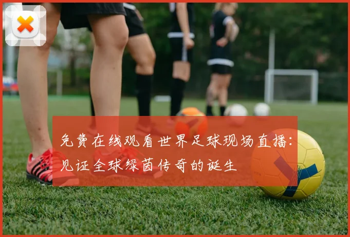 免费在线观看世界足球现场直播：见证全球绿茵传奇的诞生