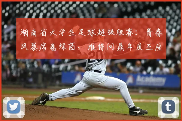 湖南省大学生足球超级联赛:青春风暴席卷绿茵,谁将问鼎年度王座?