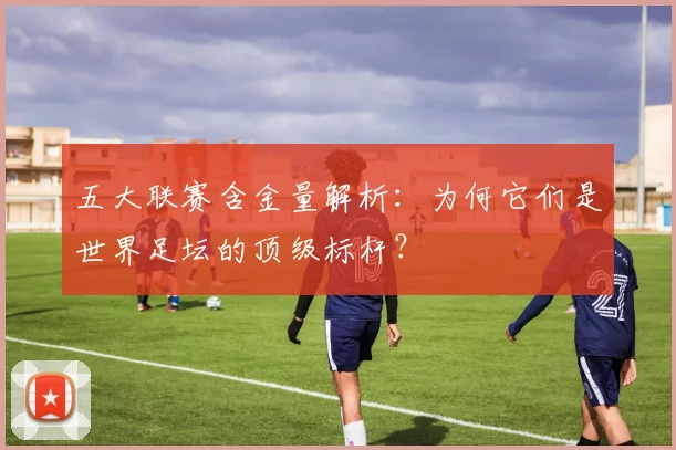 五大联赛含金量解析:为何它们是世界足坛的顶级标杆?