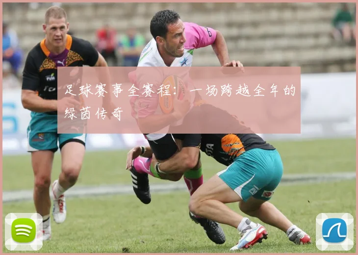 足球赛事全赛程：一场跨越全年的绿茵传奇