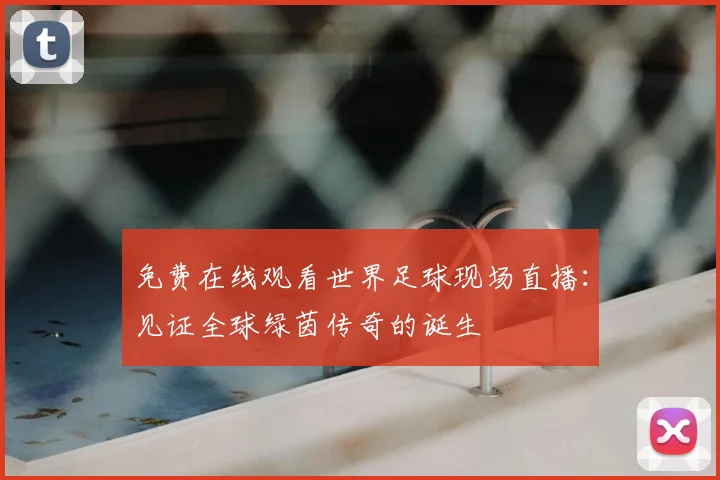 免费在线观看世界足球现场直播:见证全球绿茵传奇的诞生