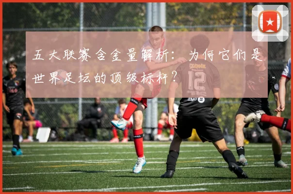 五大联赛含金量解析:为何它们是世界足坛的顶级标杆?